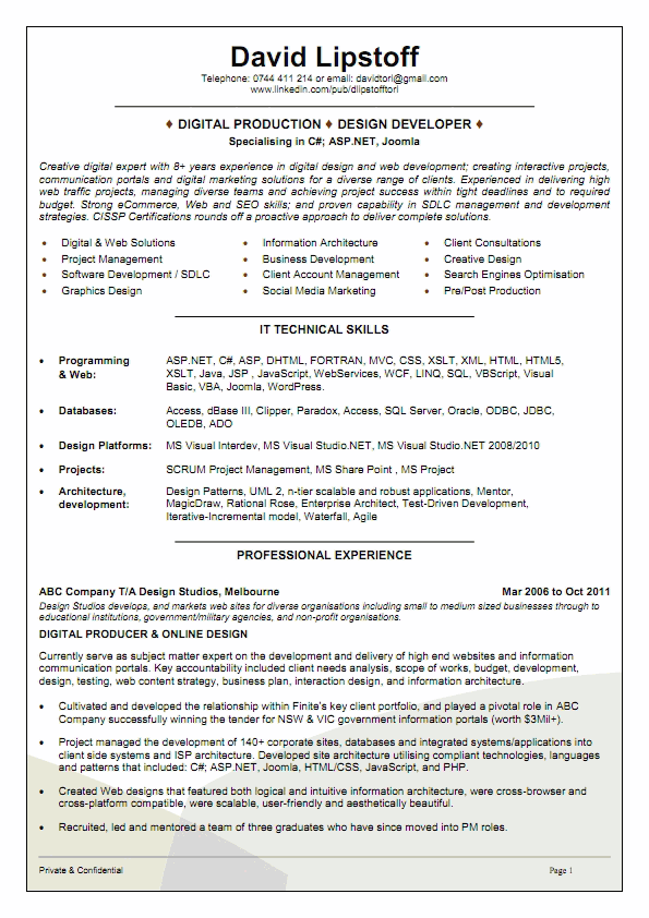 example resume IT design engineer resume
