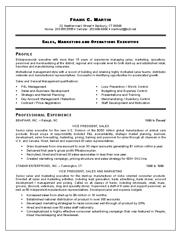 VP Sales & Marketing Resume Template Example